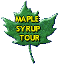 maple syrup