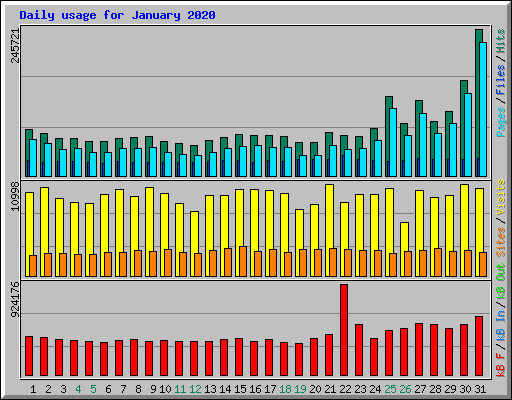 Daily usage for January 2020