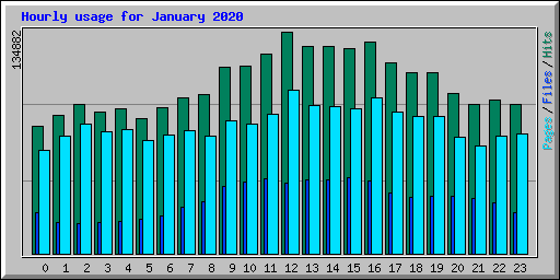 Hourly usage for January 2020