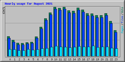 Hourly usage for August 2021