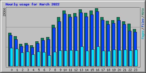 Hourly usage for March 2022