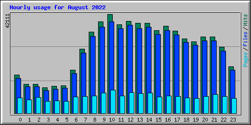 Hourly usage for August 2022