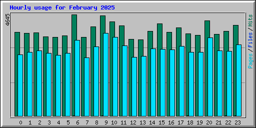 Hourly usage for February 2025