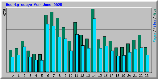 Hourly usage for June 2025