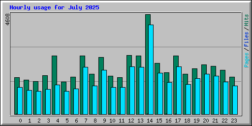Hourly usage for July 2025