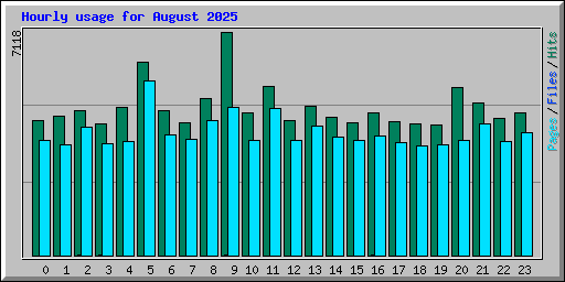 Hourly usage for August 2025