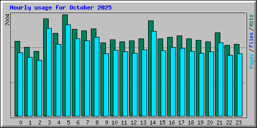 Hourly usage for October 2025