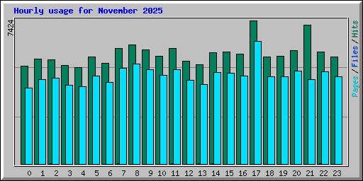 Hourly usage for November 2025