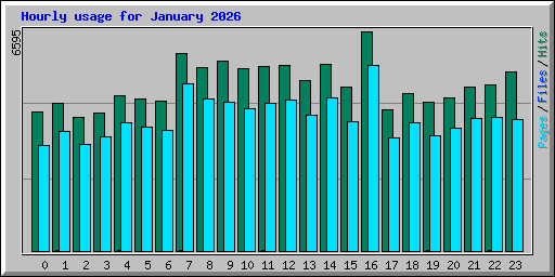 Hourly usage for January 2026